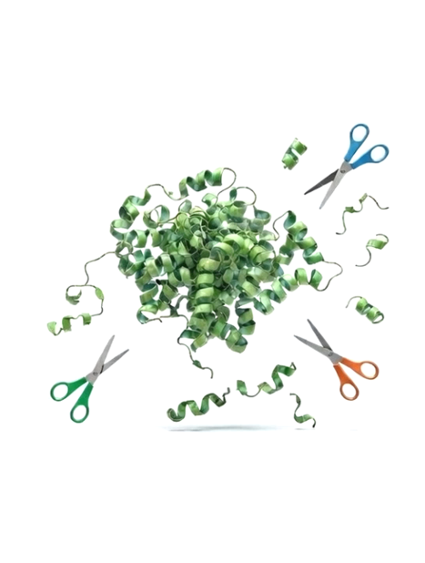 Enzymatic Digestion Simulator interface